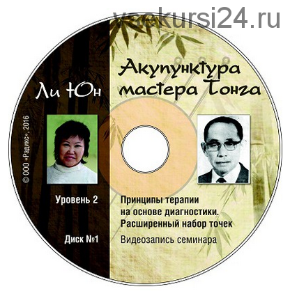 Акупунктура мастера Тонга. Принципы терапии на основе диагностики, уровень 2 (Ли Юн)