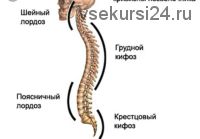 Сборник семинаров, 2002-2011 (Жан-Пьер Барраль)