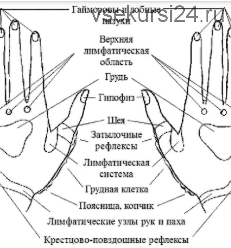 Школа акупрессуры - ваше здоровье и точки для массажа, часть 3