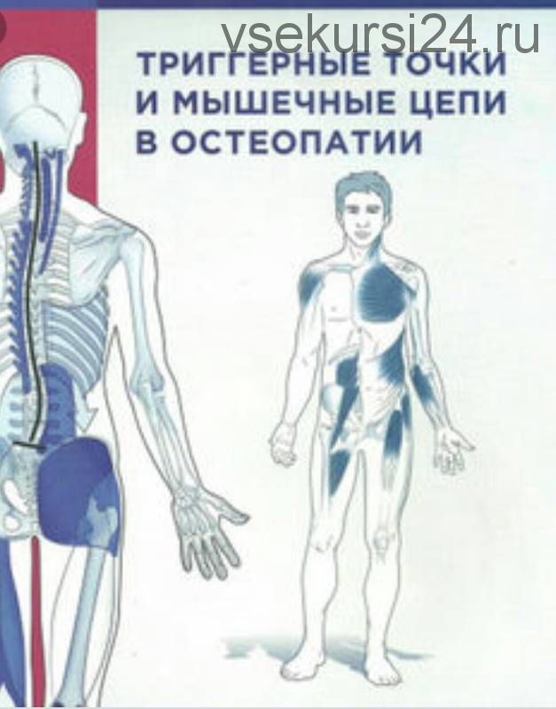 Триггерные точки и мышечные цепи в остеопатии (Эрик Хебген и Филипп Рихтер)