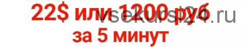 22 доллара за 5 минут (Андрей Веб)