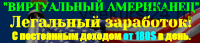 Виртуальный американец. От 180 долларов в день