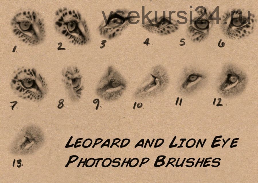 Кисти фотошоп-глаза льва и леопарда / Custom Photoshop Brushes Set 4 Lion,Leopard Eyes (Аарон Блейз)