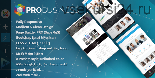 [themeforest] ProBusiness – многоцелевой шаблон Joomla