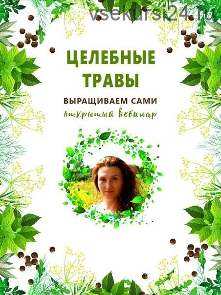 Целебные травы. Выращиваем сами (Ольга Апиариус)