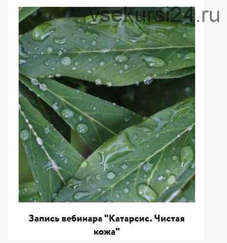 [broccoliblog] Катарсис. Чистая кожа (Настя Озерова)