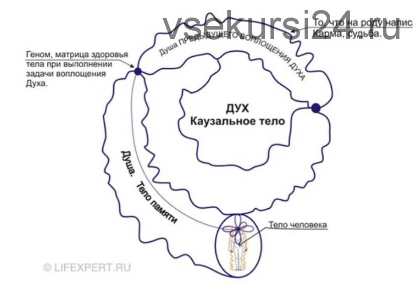 [Lifexpert] Инфокоррекция программ прошлых жизней (Вячеслав Губанов - Дмитрий Губанов)