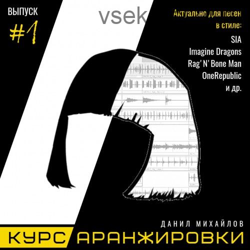 Курс аранжировки музыки. Выпуск 1 (Данил Михайлов, Роман Стикс)