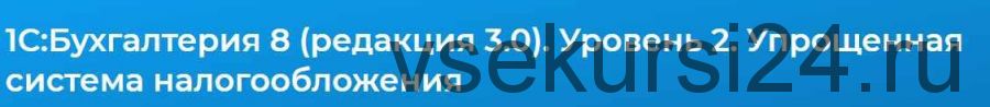 1С:Бухгалтерия 8 (редакция 3.0). Уровень 2. Упрощенная система налогообложения (Людмила Ганжа)