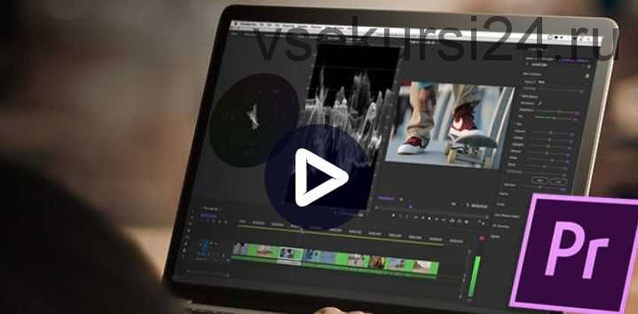 Цветокоррекция в Adobe Premiere PRO: Быстрый старт (Дмитрий Ларионов)