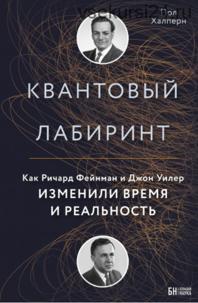 Квантовый лабиринт. Как Ричард Фейнман и Джон Уилер изменили время и реальность (Пол Халперн)