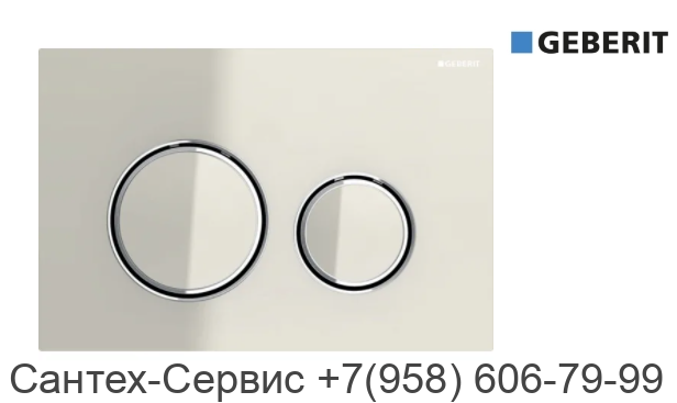 115.884.JL.1 Смывная клавиша Geberit Sigma 21 для двойного смыва
