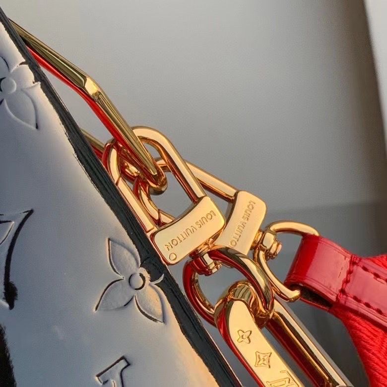 Louis Vuitton 26x20x12 cm