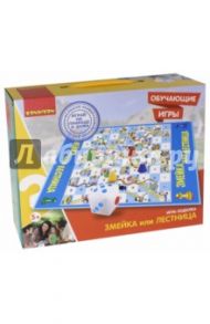 Игра-ходилка обучающая «Змейка или лестница» (2605ВВ)