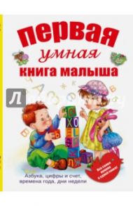 Первая умная книга малыша. Все самое нужное