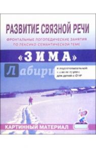 Развитие связной речи. Фронтальные логопедические занятия по теме "Зима". Картинный материал