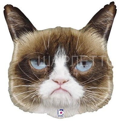 Шар фигура "Сердитая кошка"