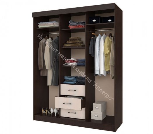 Шкаф-купе Фиеста-2