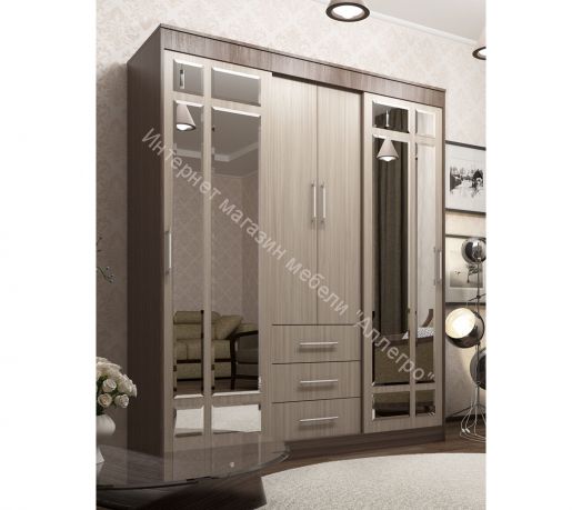 Шкаф-купе Фиеста-2