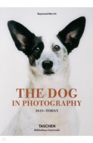 The Dog in Photography 1839–Today / Merritt Raymond