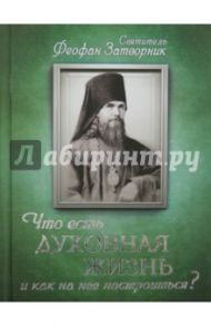 Что есть духовная жизнь и как на нее настроиться? Письма / Святитель Феофан Затворник