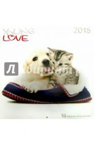 Календарь 2015 "Young Love Kittens & Puppies" (2243)