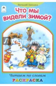 Что мы видели зимой? / Лиходед Виталий Григорьевич