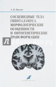 Сосцевидные тела гипоталамуса. Морфологические особенности и онтогенетические трансформации / Павлов Артем Владимирович