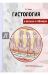 Гистология в схемах и таблицах. Учебное пособие. Цветной атлас / Гунин Андрей Германович