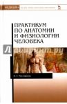 Практикум по анатомии и физиологии человека. Учебное пособие / Мустафина Ирина Григорьевна