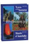Чудеса земли Камчатки / Нечаев Андрей