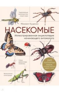 Насекомые. Иллюстрированная энциклопедия начинающего энтомолога. 240 популярных видов / Куценко Михаил Евгеньевич