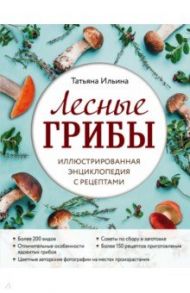 Лесные грибы. Иллюстрированная энциклопедия с рецептами / Ильина Татьяна Александровна