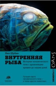 Внутренняя рыба. История человеческого тела с древнейших времен до наших дней / Шубин Нил