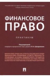 Финансовое право. Практикум / Бит-Шабо И. В., Вершило Татьяна Александровна, Анисина Карина Талгатовна