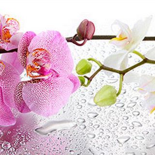 Кухонный фартук Композит КМ 47 (VIP 09)