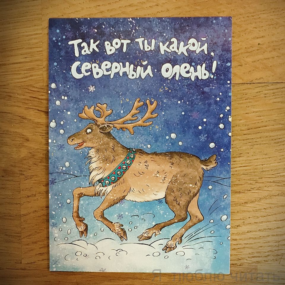 Открытка «Вот ты какой, северный олень!»