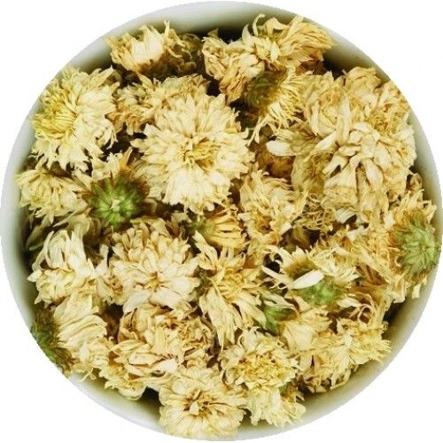 Хризантема