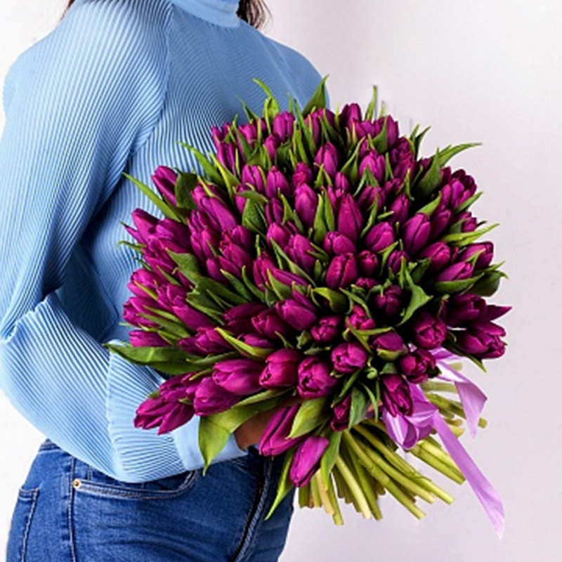 Тюльпаны сиреневые