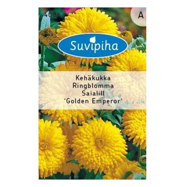 Suvipiha Golden Emperor 4086