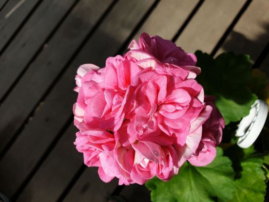 Lauren Alexandra № 0622