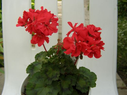 East Sussex № 0612