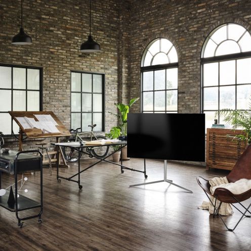 Телевизор LG OLED65A1