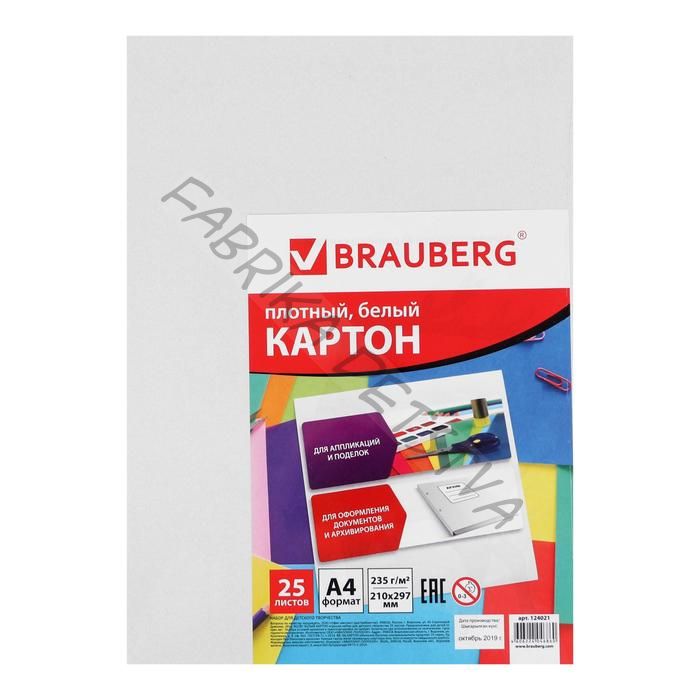 Картон белый А4, 25 листов, мелованный, 210 х 297 мм
