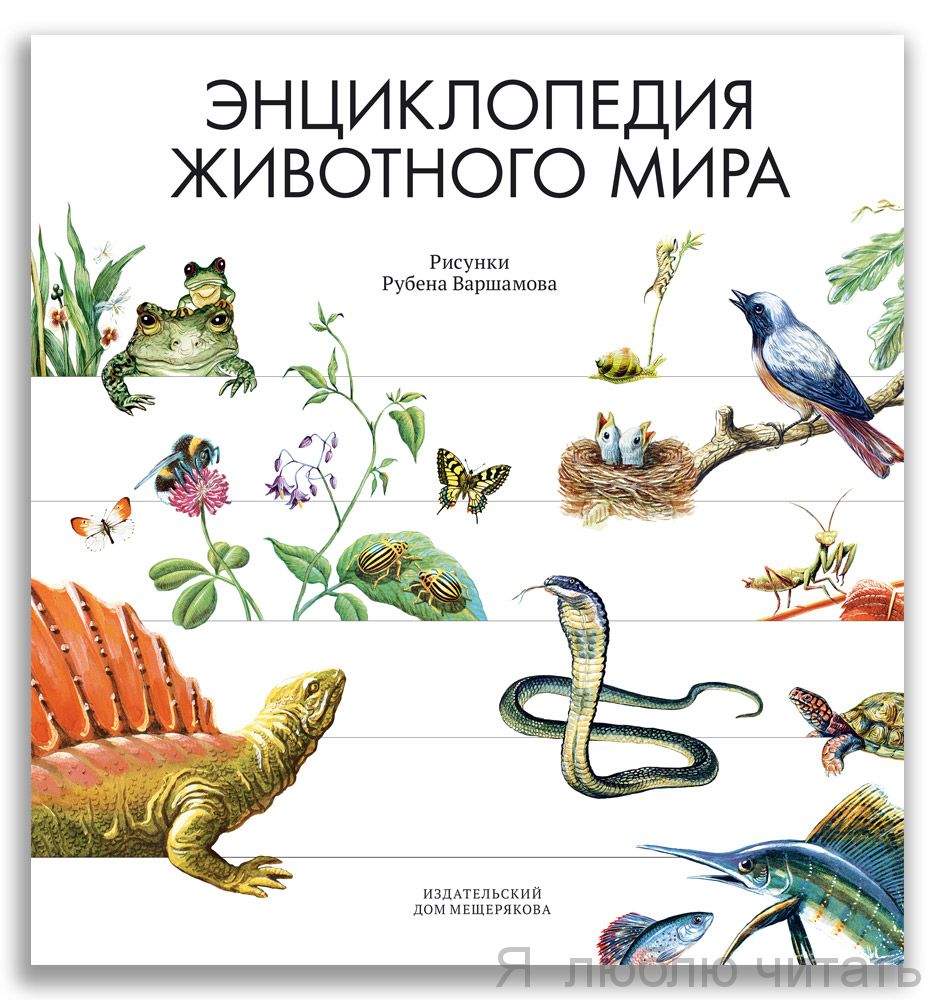 Энциклопедия животного мира