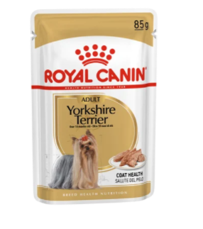 Yorkshire Terrier Adult (в паштете)