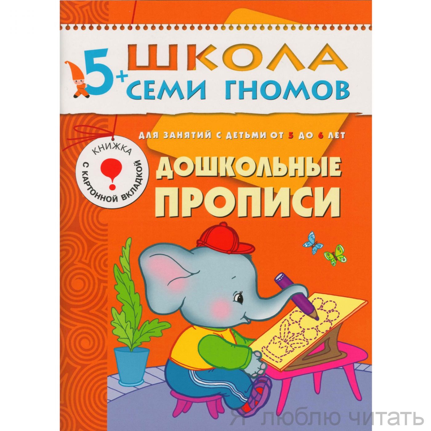ШСГ. Шестой год обучения. Дошкольные прописи
