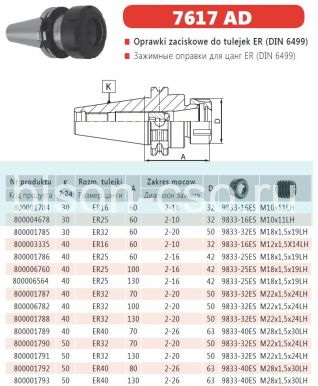 Цанговый патрон Bison-Bial Польша 7617-40-25-60 KWN  кон. 40 AD ER25