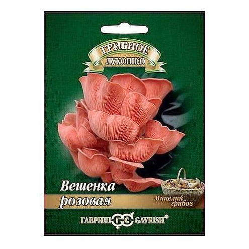 ВЕШЕНКА РОЗОВАЯ, 12 шт