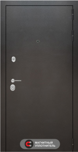 Входная дверь Лабиринт SILVER 15 - Алмон 25